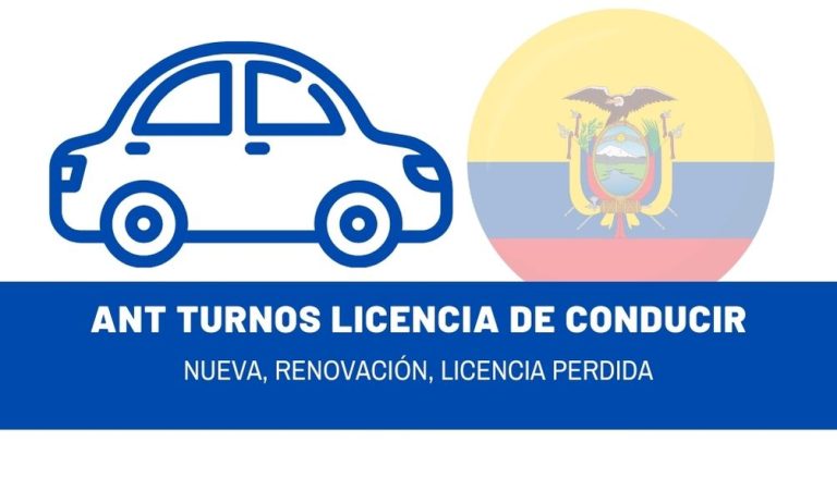 ANT turnos licencia de Conducir